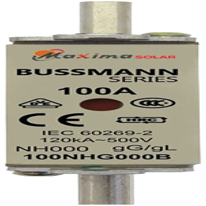 bussmann(G) 1